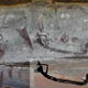A rare depiction of a human, seen in a reclining position. Yellowish splotches on the cave wall are former mud wasp nests, which was used to date the artworks.